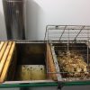 Bagremov med 450 grama - Slika 6
